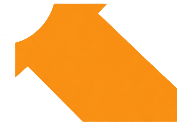 Xyventa Orange Arrow