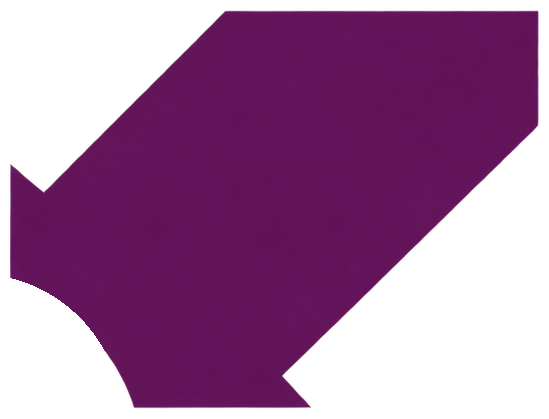 Xyventa Purple Arrow